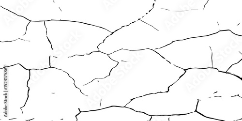 Create a high-contrast black and white image of a network of fine cracks on a white surface. The cracks should appear as thin, irregular black lines branching and intersecting across the frame, 