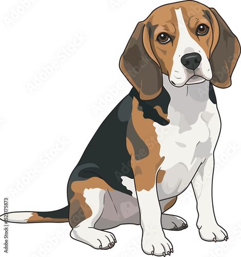 Beagle Dog Vector white color background 