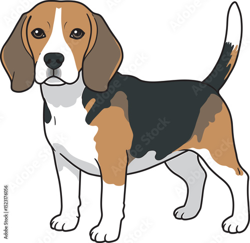 Beagle Dog Vector white color background 