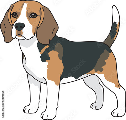 Beagle Dog Vector white color background 