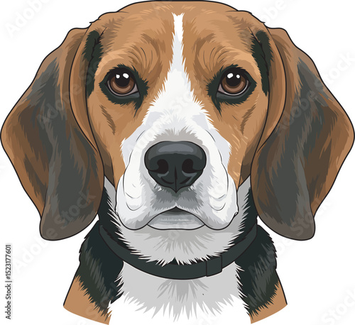 Beagle Dog Vector white color background 