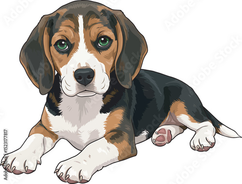 Beagle Dog Vector white color background 