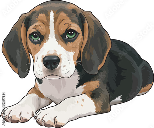 Beagle Dog Vector white color background 