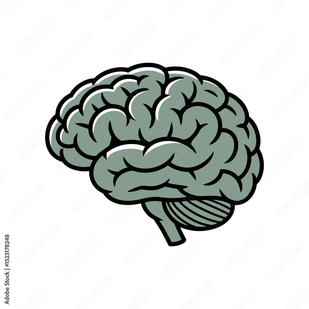 Stylized Human Brain Illustration with Detailed Lobes and Cerebellum Rendered in Muted Green Tones with Bold Black Outlines on a White Background simplified Stylized Human Brain Illustration with Detailed Lobes and Cerebellum Rendered in Muted Green Tones with Bold Black Outlines on a White Background simplified