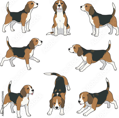 Beagle Dog Vector white color background 