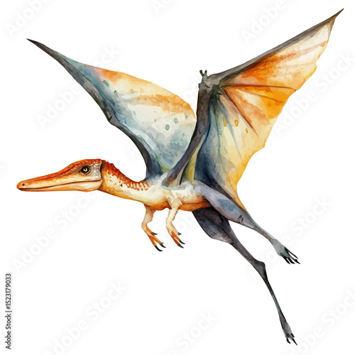 watercolor vector of Pterodactyl, high quality, isolated on a white background.