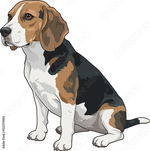 Beagle Dog Vector white color background 