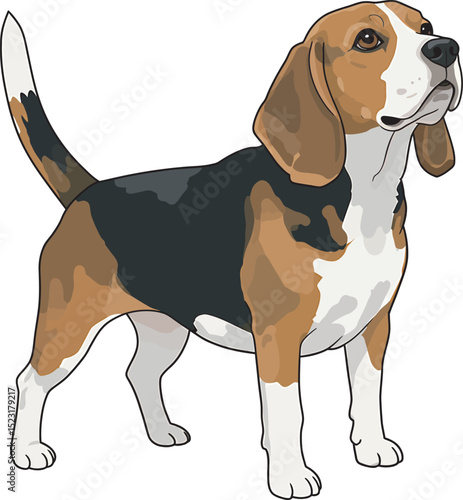 Beagle Dog Vector white color background 