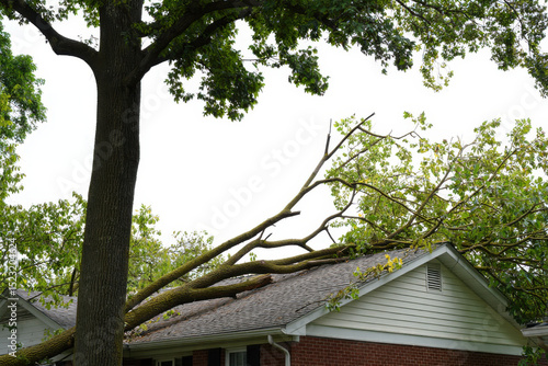Large tree falling on house roof after storm damage