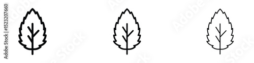 Mint icon