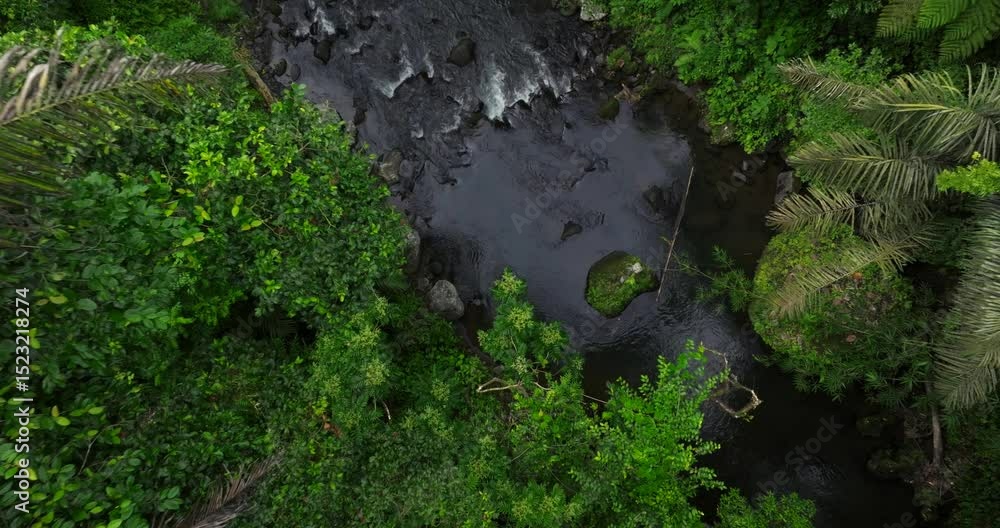 River in tropical green rainforest, 4K Aerial drone top view shot River in tropical green rainforest, 4K Aerial drone top view shot