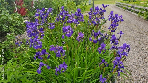 Φωτογραφία Sweden