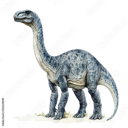 Plateosaurus, watercolor painting vector, high quality, isolated on a white background.