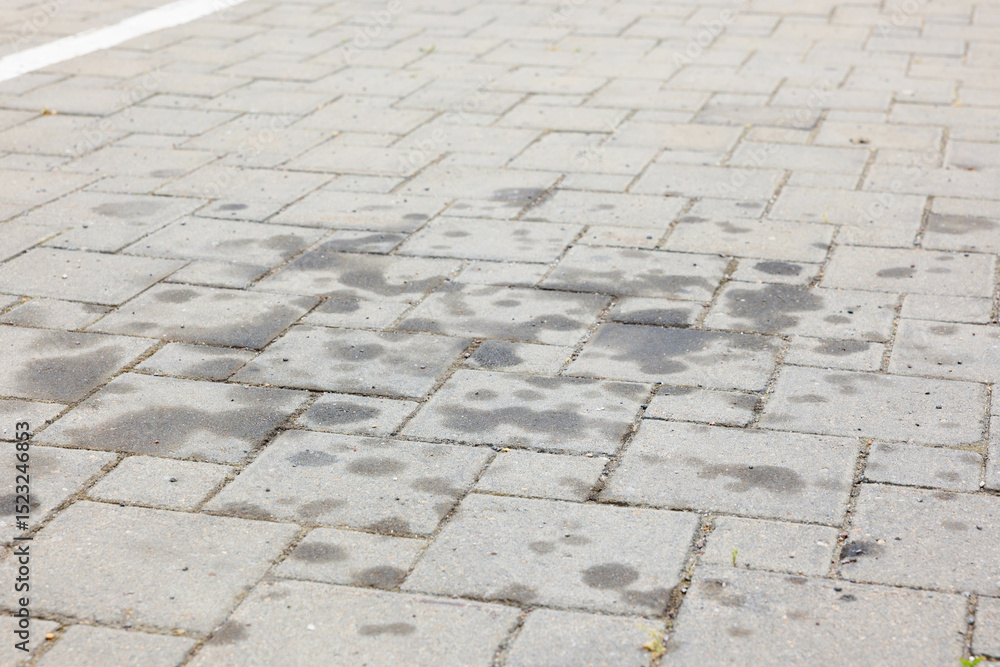 Fototapeta premium Stains of motor oil on road outdoors, closeup