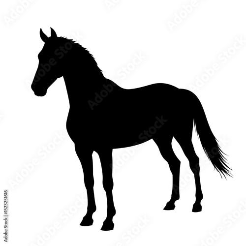 A majestic silhouette of a horse captured in minimalist artistry. This captivating image showcases the horse's powerful form and elegant poise against a backdrop of pure, unadulterated color.