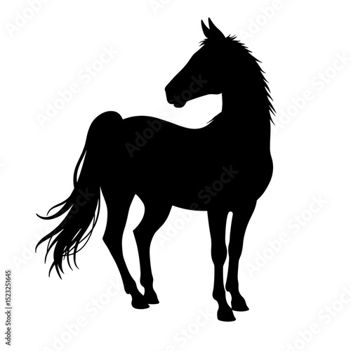 A sleek black horse silhouette against a pristine backdrop, embodying elegance and strength. A visual embodiment of grace and power.