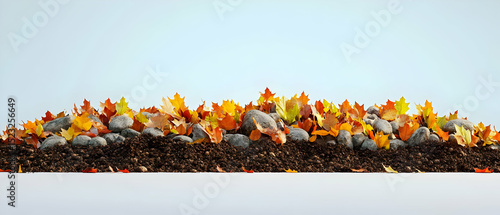 Autumn Leaves And Rocks On The Ground