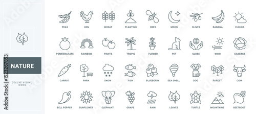 Cultivation of plants and wheat crop, protection of animals and insects thin black outline symbols vector illustration. Save nature and ecology, environment and weather line icons set.