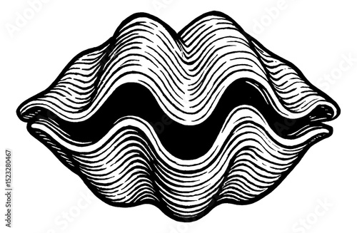 Clam Shell Detailed Woodcut Illustration in Black and White with Wavy Lines
