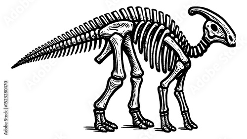 Engraving Illustration of Parasaurolophus Skeleton Isolated on White Background