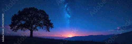Wallpaper Mural Silhouetted trees against a starlit night sky, conveying a sense of mystery and peaceful contemplation Perfect for meditation, spirituality, or nocturnal themes , meditation, sky, stargazing Torontodigital.ca