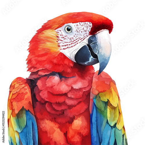 watercolor of Parrot Close Up, vector high quality, isolated on a white background.