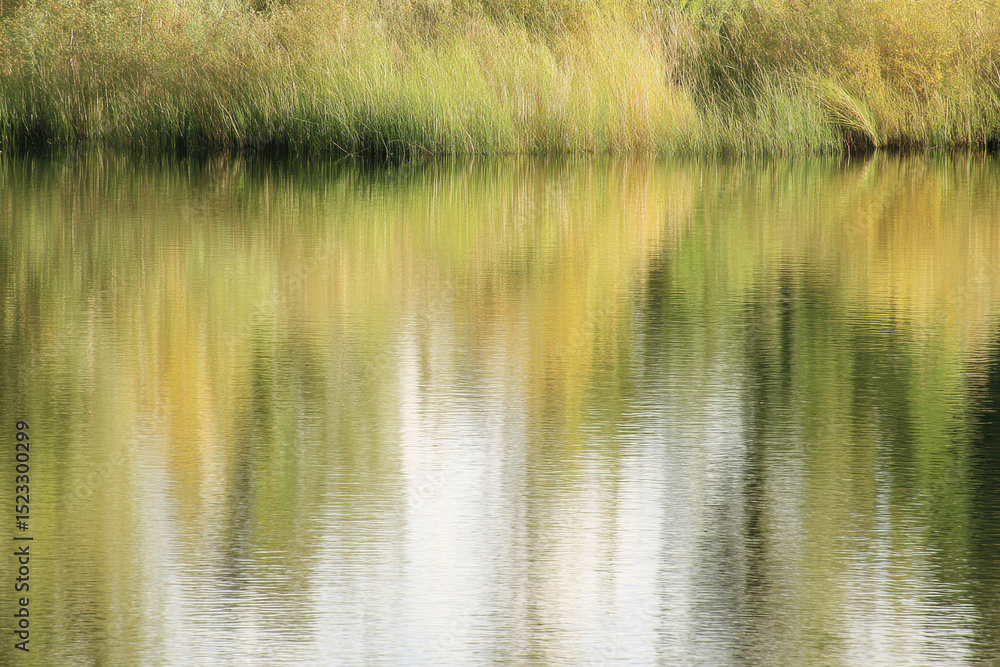 Obraz premium reflection in water