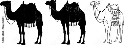 Vector illustration of three camels with saddles standing in a row showcasing different saddle designs and decorative styles, vector set
