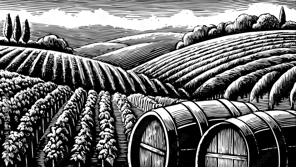 Fototapeta premium Black and white sketch vector of a hillside vineyard with grape vines and rustic barrels