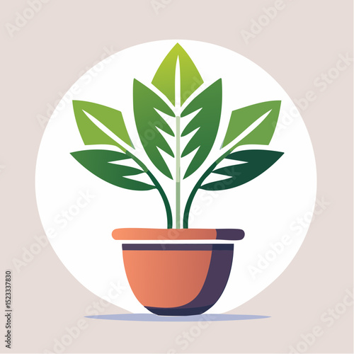 Sleek vector of a low-maintenance ZZ plant, ideal for home or office design accents