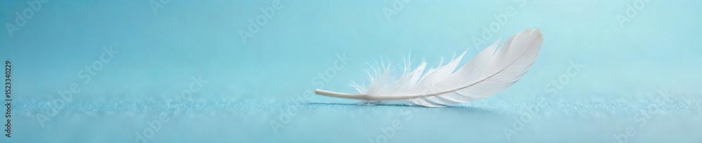 A single, delicate white feather floats gently on a soft, blue surface, symbolizing purity and untainted beauty Perfect for concepts of innocence, fragility, and hope , blue, unblemished A single, delicate white feather floats gently on a soft, blue surface, symbolizing purity and untainted beauty Perfect for concepts of innocence, fragility, and hope , blue, unblemished