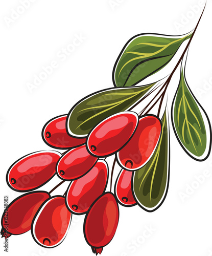 barberry autumn element doodle marker style