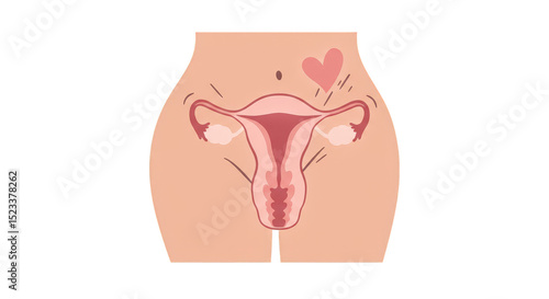 Illustration of Pink Uterus...