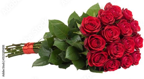 Isolated Bouquet of Rich Re...