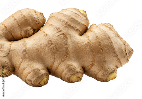 Isolated Fresh Ginger Root ...