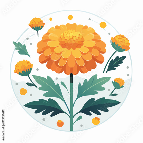 Clean and simple vector illustration of a blooming marigold, perfect for garden-themed design projects