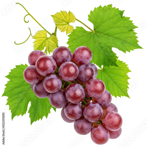 Isolated Fresh Red Grape Cl...