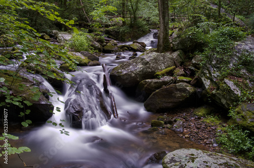 Anna Ruby Falls in Helen, GA