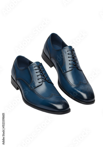 Isolated Pair of Blue Leath...