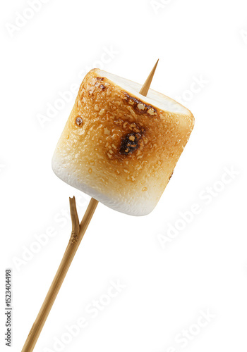 Isolated Toasted Marshmallo...