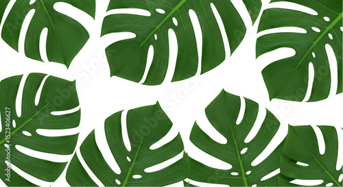 Isolated Transparent Backgr...