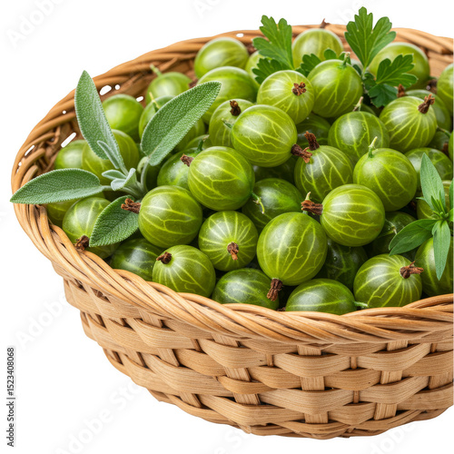 Isolated Transparent PNG of...
