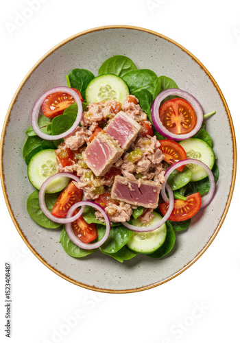 Isolated Tuna Salad with To...