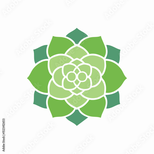Clean vector illustration of an echeveria, ideal for botanical, decor, or succulent-themed designs