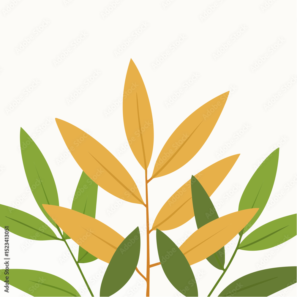 Soft textured vector of a kalanchoe tomentosa, perfect for soft-themed or cozy visuals Soft textured vector of a kalanchoe tomentosa, perfect for soft-themed or cozy visuals
