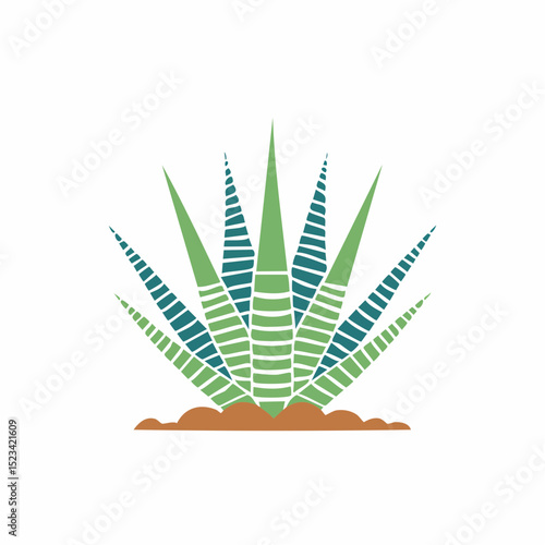 Clean graphic vector of a zebra haworthia, ideal for minimalist or modern home visuals
