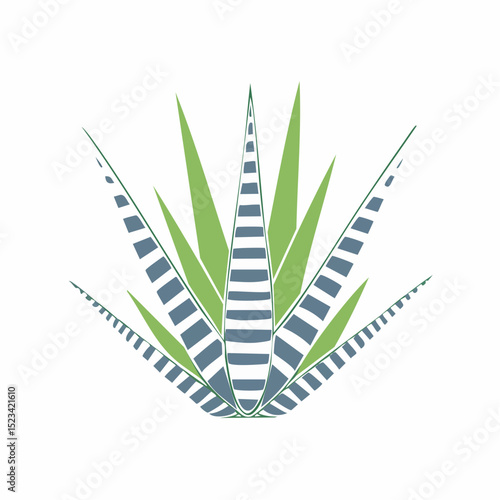 Clean graphic vector of a zebra haworthia, ideal for minimalist or modern home visuals
