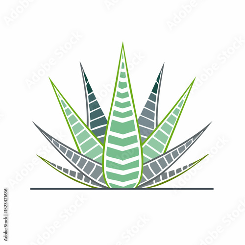 Clean graphic vector of a zebra haworthia, ideal for minimalist or modern home visuals