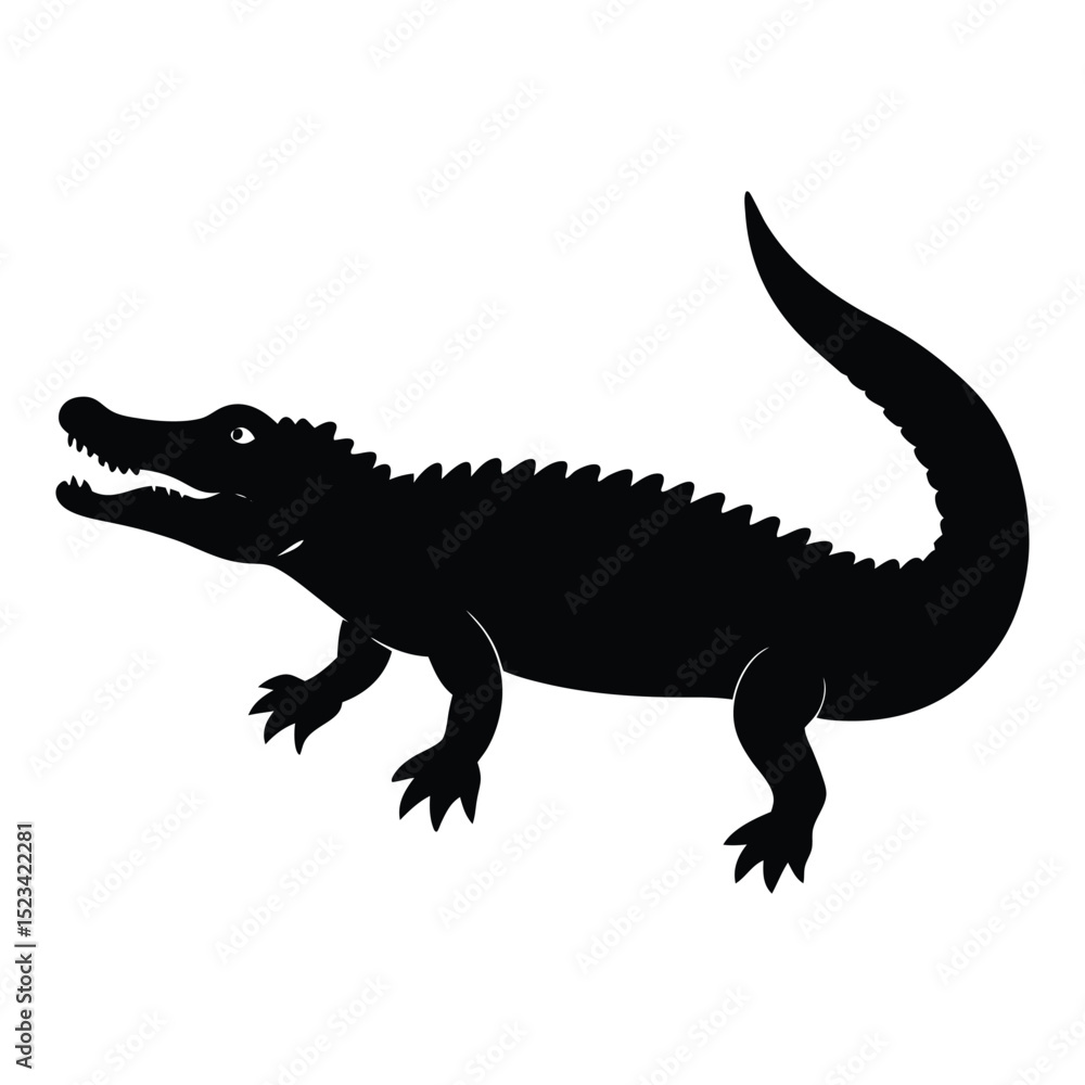 iguana on white background iguana on white background