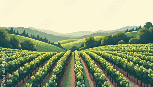 Vineyard landscape with rows of grapevines